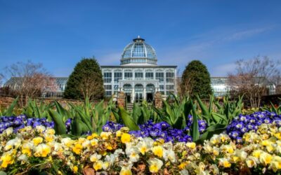 What to Do in Richmond, Virginia
